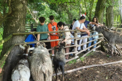 WhatsApp-Image-2022-06-11-at-7.35.55-AM